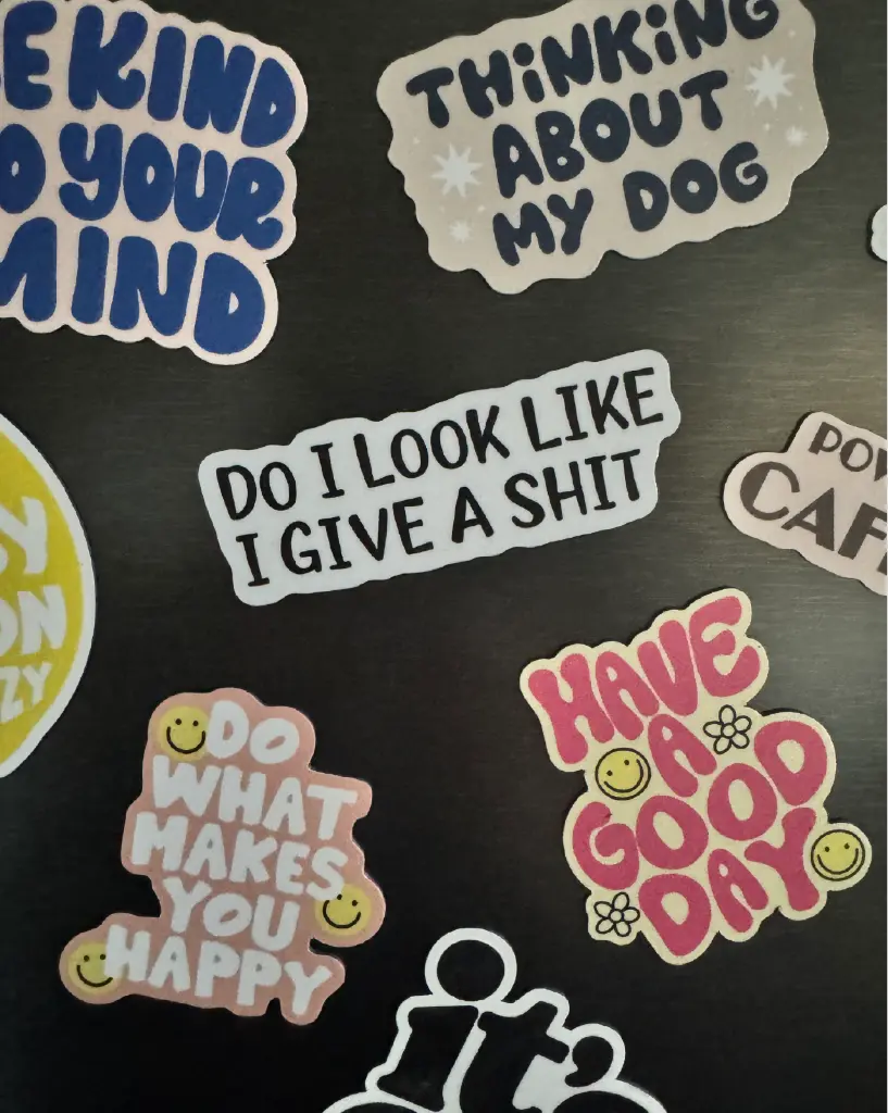 [PPC-01002] Do I Look Magnet 