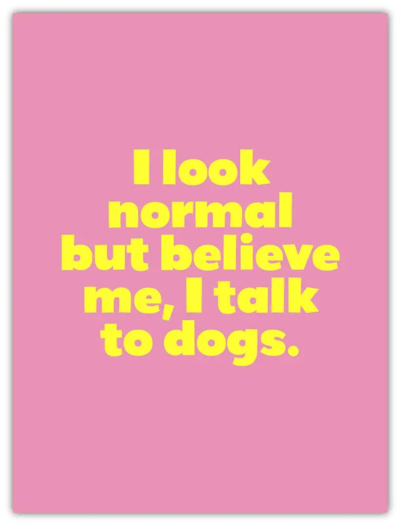 I Look Normal Neon Poster